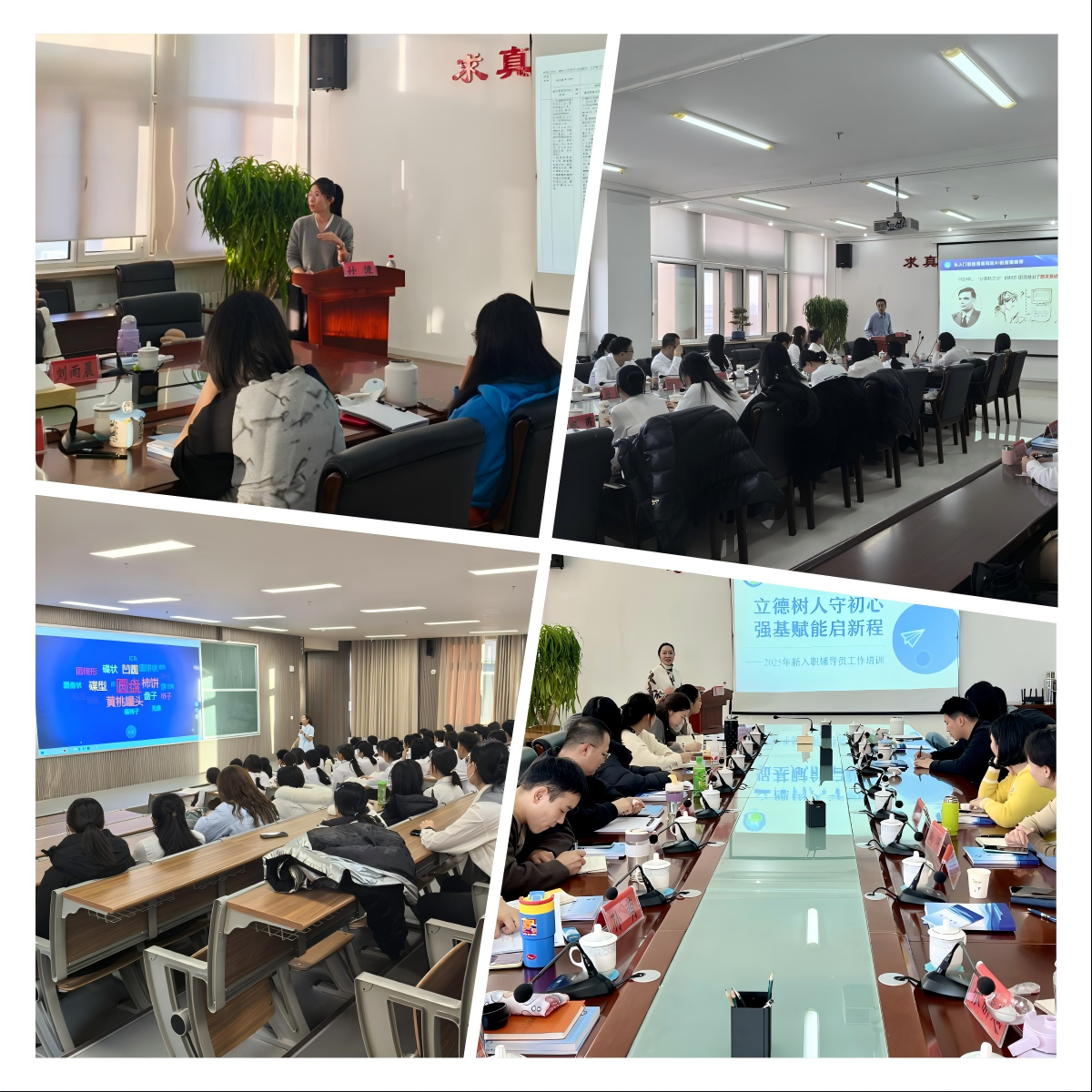 WPS拼图0.png WPS拼图0.png